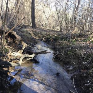 Photo #4 of BATESVILLE RD, AFTON, VA 120.1 acres