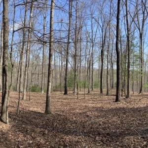 Photo #6 of BATESVILLE RD, AFTON, VA 120.1 acres