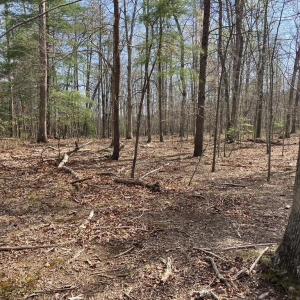 Photo #5 of BATESVILLE RD, AFTON, VA 120.1 acres