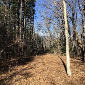 Photo #9 of BATESVILLE RD, AFTON, VA 120.1 acres