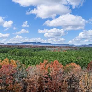 Photo #9 of PINEHURST DR, GORDONSVILLE, VA 0.5 acres