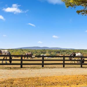 Photo #14 of PINEHURST DR, GORDONSVILLE, VA 0.5 acres