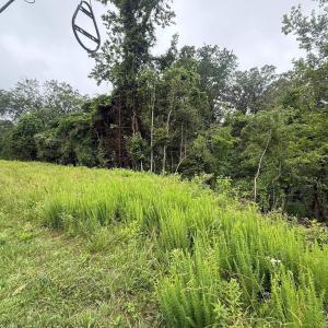 Photo #6 of 5971 SEMINOLE TRL, BARBOURSVILLE, VA 3.4 acres