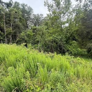 Photo #7 of 5971 SEMINOLE TRL, BARBOURSVILLE, VA 3.4 acres