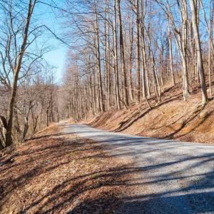 Photo #7 of TBD1 FOREST HOMES DR, ELKTON, VA 6.0 acres