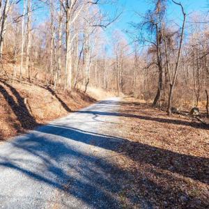 Photo #8 of TBD1 FOREST HOMES DR, ELKTON, VA 6.0 acres