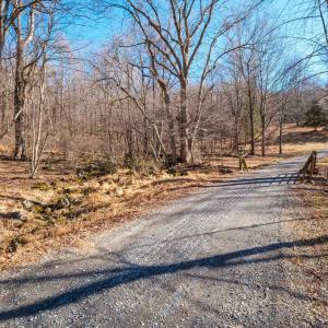 Photo #5 of TBD1 FOREST HOMES DR, ELKTON, VA 6.0 acres