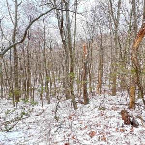 The property backs up hundreds of acres of open space for greater privacy from neighbors.