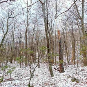 Nice seasonal mountain and sunset views from this generous 0.7ac lot.