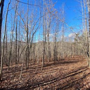 Photo #1 of WALNUT GROVE LN, LOVINGSTON, VA 50.0 acres