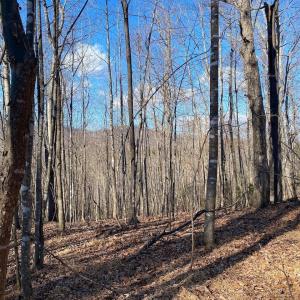 Photo #7 of WALNUT GROVE LN, LOVINGSTON, VA 50.0 acres