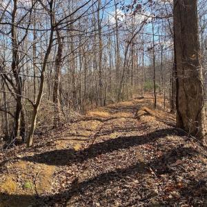 Photo #9 of WALNUT GROVE LN, LOVINGSTON, VA 50.0 acres