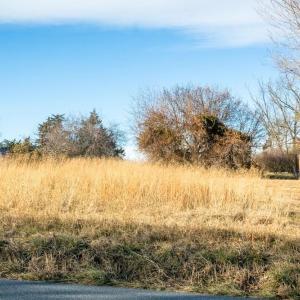 area of approximatley 60 feet.