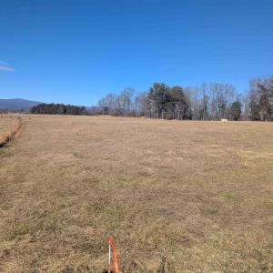 Photo #10 of Lot 2 ADVANCE MILLS RD, RUCKERSVILLE, VA 2.8 acres