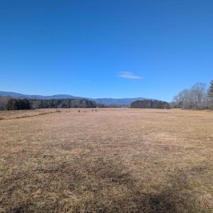 Photo #12 of Lot 2 ADVANCE MILLS RD, RUCKERSVILLE, VA 2.8 acres
