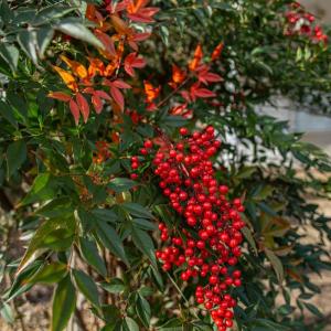 Photo #13 of 611 RIVES ST, CHARLOTTESVILLE, VA 0.3 acres