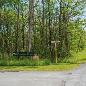 Photo #8 of TBD KAOLIN SPRING LN, GREENVILLE, VA 4.9 acres