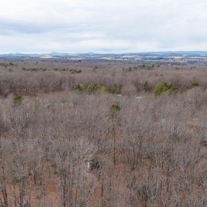 Photo #32 of TBD KAOLIN SPRING LN, GREENVILLE, VA 4.9 acres