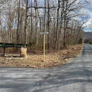 Photo #6 of TBD KAOLIN SPRING LN, GREENVILLE, VA 4.9 acres