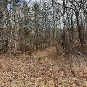 Photo #2 of TBD KAOLIN SPRING LN, GREENVILLE, VA 4.9 acres