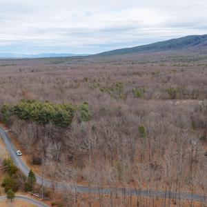 Photo #26 of TBD KAOLIN SPRING LN, GREENVILLE, VA 4.9 acres