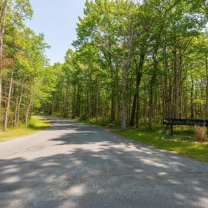 Photo #11 of TBD KAOLIN SPRING LN, GREENVILLE, VA 4.9 acres