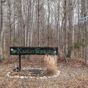 Photo #4 of TBD KAOLIN SPRING LN, GREENVILLE, VA 4.9 acres