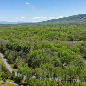 Photo #17 of TBD KAOLIN SPRING LN, GREENVILLE, VA 4.9 acres