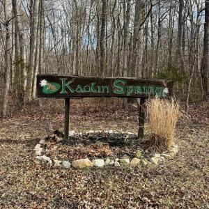 Photo #5 of TBD KAOLIN SPRING LN, GREENVILLE, VA 4.9 acres