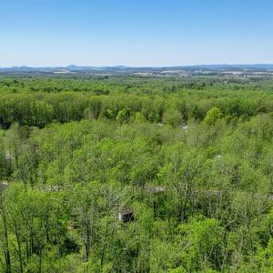 Photo #23 of TBD KAOLIN SPRING LN, GREENVILLE, VA 4.9 acres