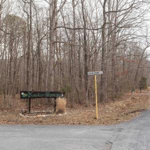 Photo #5 of TBD KAOLIN SPRING LN, GREENVILLE, VA 4.9 acres