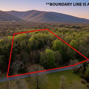 Photo #1 of TBD KAOLIN SPRING LN, GREENVILLE, VA 4.9 acres