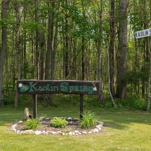 Photo #2 of TBD KAOLIN SPRING LN, GREENVILLE, VA 4.9 acres