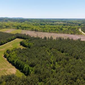 Photo #1 of 3400 HALIFAX RD, CHATHAM, VA 36.0 acres