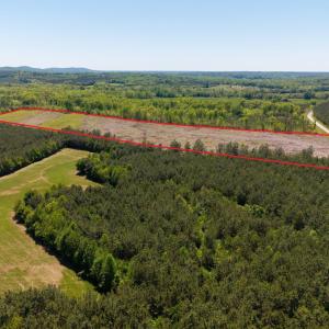 Photo #1 of 3400 HALIFAX RD, CHATHAM, VA 36.0 acres