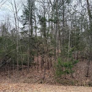 Photo #3 of 2 GOODMAN LN, PALMYRA, VA 1.5 acres