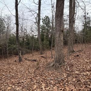 Photo #5 of 2 GOODMAN LN, PALMYRA, VA 1.5 acres