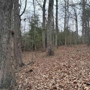 Photo #6 of 2 GOODMAN LN, PALMYRA, VA 1.5 acres