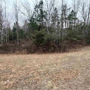 Photo #2 of 2 GOODMAN LN, PALMYRA, VA 1.5 acres
