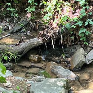 Photo #16 of 12 GALLOWAY SPRING LN, SHENANDOAH, VA 22.4 acres