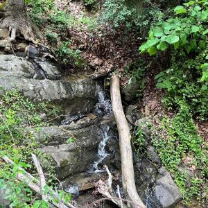 Photo #14 of 12 GALLOWAY SPRING LN, SHENANDOAH, VA 22.4 acres