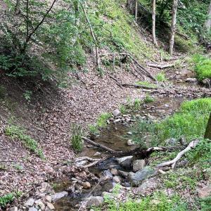 Photo #15 of 12 GALLOWAY SPRING LN, SHENANDOAH, VA 22.4 acres