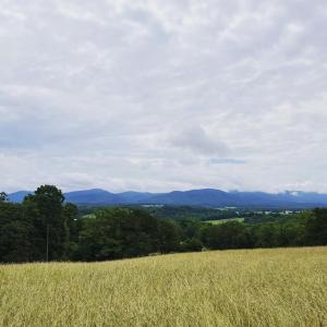 Photo #8 of 12 GALLOWAY SPRING LN, SHENANDOAH, VA 22.4 acres