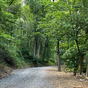 Photo #12 of 12 GALLOWAY SPRING LN, SHENANDOAH, VA 22.4 acres