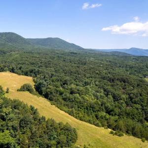 Photo #4 of 12 GALLOWAY SPRING LN, SHENANDOAH, VA 22.4 acres