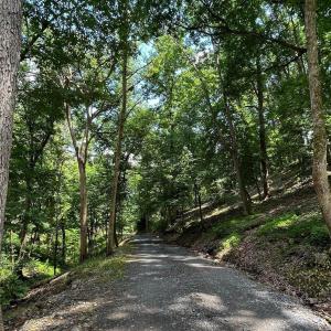 Photo #11 of 12 GALLOWAY SPRING LN, SHENANDOAH, VA 22.4 acres