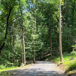 Photo #9 of 12 GALLOWAY SPRING LN, SHENANDOAH, VA 22.4 acres