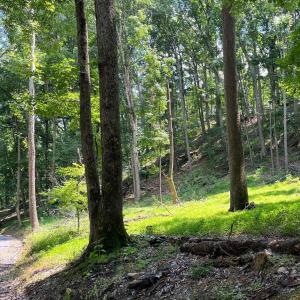 Photo #13 of 12 GALLOWAY SPRING LN, SHENANDOAH, VA 22.4 acres