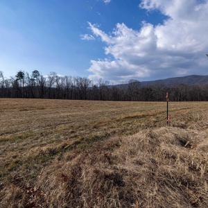 Photo #9 of Lot 8 PROMISE LN, STANLEY, VA 6.3 acres