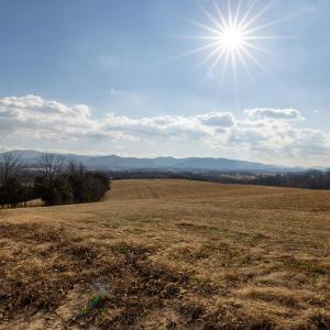 Photo #12 of Lot 8 PROMISE LN, STANLEY, VA 6.3 acres